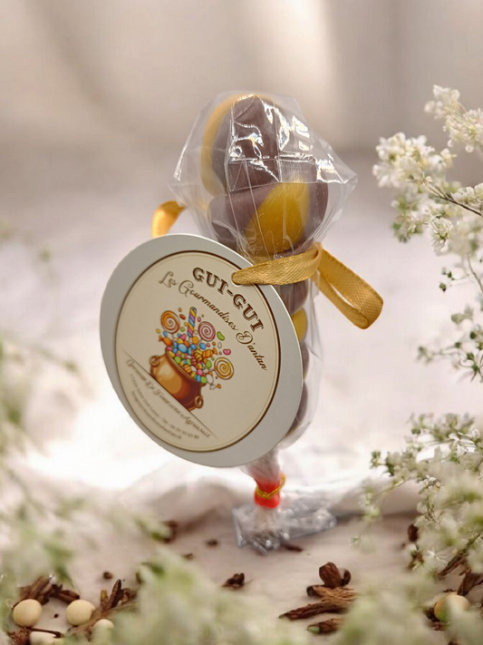 Sucette Torsade Vanille myrtille