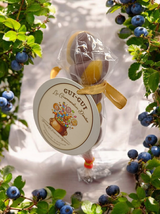 Sucette Torsade Vanille myrtille