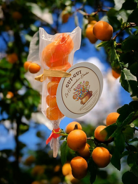 Sucette Torsade Abricot